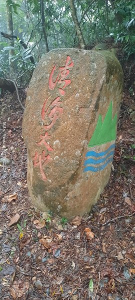 《苗栗》霧雨寒流｜三義三角山步道202512252969232