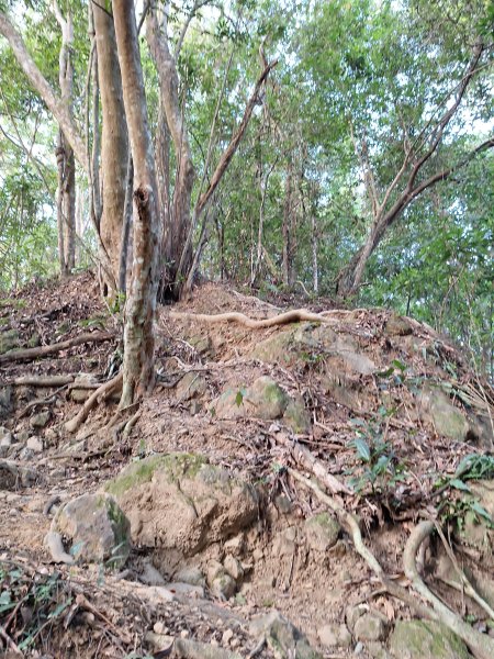 關西赤柯山+東西獅頭山+馬福山+玉山O型2670794