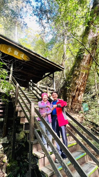 🌈228連假北橫賞櫻客製化四日遊Day2 FB：熊熊趴爬走🌈2724607