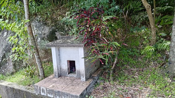 楊廷理古道2814620