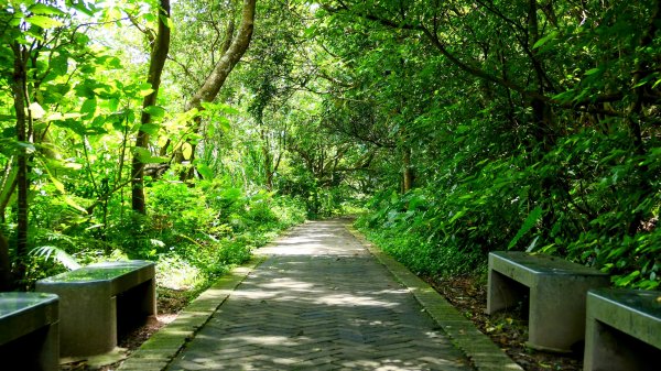 內雙溪自然中心2808683