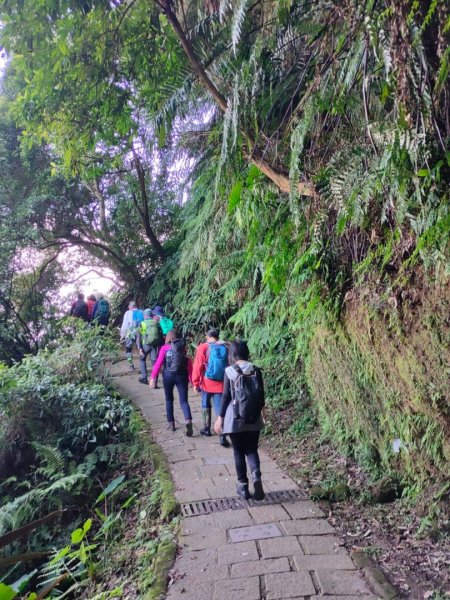 ［象山~深坑8連峰］  （象山～南港山南峰～拇指山～倒照湖山～大坑山～西峰~三腳木山~西峰）2403145