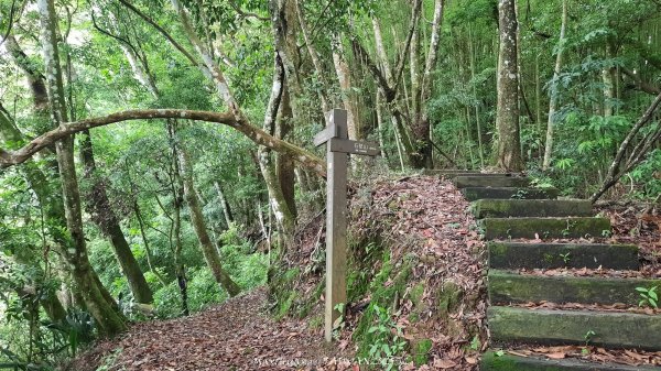 《雲林》望好望角｜石壁山嘉南雲峰步道(中側登山口）202506072805369