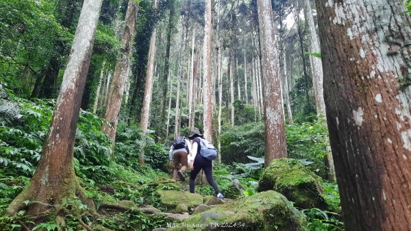 《新竹》不見五指｜北埔五指山登山步道上中指峰202410102619048