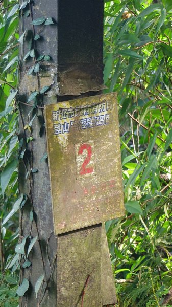 20260125 陽明山前後山健行(無極天元宮~山仔頂步道.向天池.向天山.面天山.二子坪)2997955