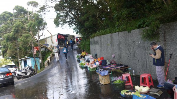 觀音山登山健行趣(小百岳05號)1632326