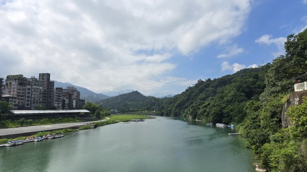 一次解鎖二任務，山頂鳥百山百鳥及新北市微笑山線和美山螢火蟲段2859427