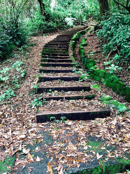 一路風景變化的美麗特富野古道557401