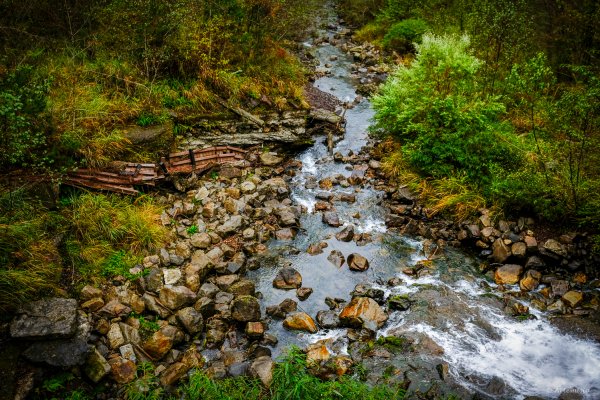 [冬訪大霸聖山岳參行]-大鹿林道東線榆金楓紅與九九山莊精選輯2974694