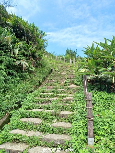 【新北瑞芳】黃金山城好展望。 小百岳基隆山x九份老街2847158