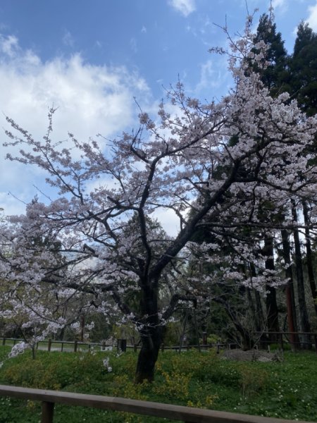 大塔山3062637