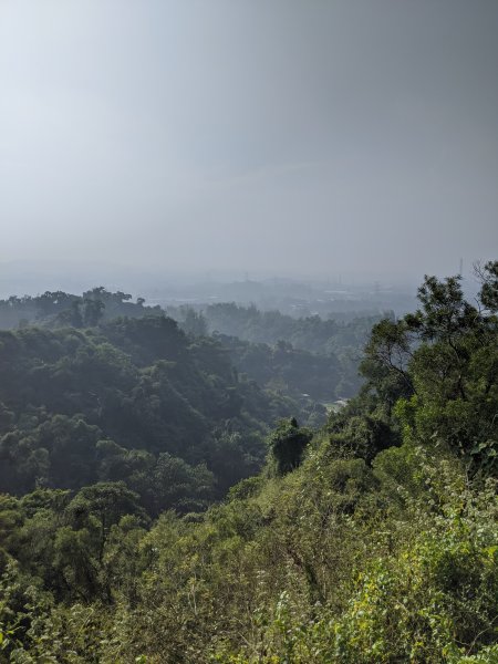 【高雄-小百岳】觀音山_稜線連峰O型縱走796547