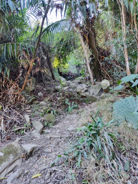 泰安鳥嘴山（上島）2689329