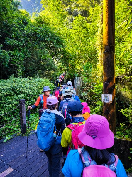 2025-06-15 銀河洞越嶺登山步道2816165
