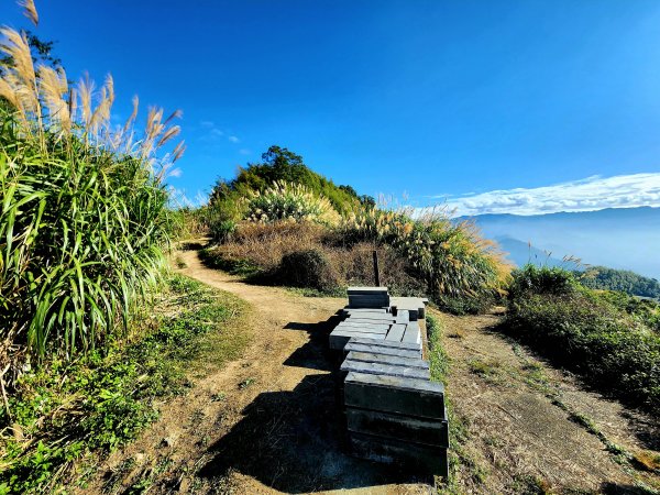 小百岳集起來-雲嘉大尖山2182900