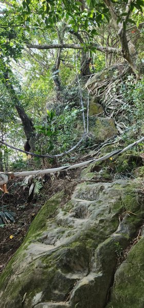 2026_01_18_探索你的後花園@土城2985003