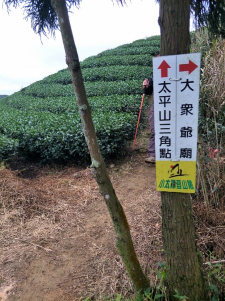 雲嘉七連峰1560694