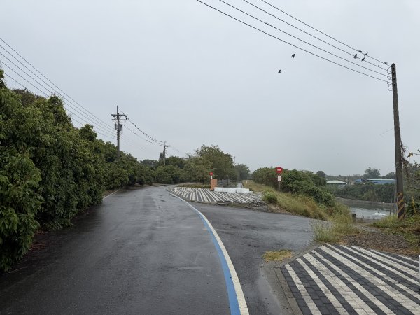 [山海圳_大圳之路_第一段] 2026_0228 茄拔天后宮_南湖口_曾文溪渡槽橋3009191