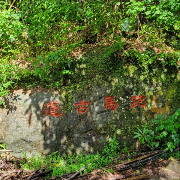 礁溪跑馬古道2519005