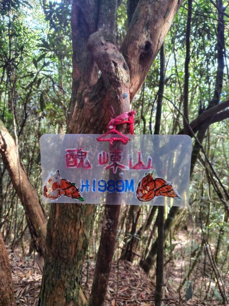 長壽山、肥崠山、醜崠山、大崠山、大崠山經建版2931569