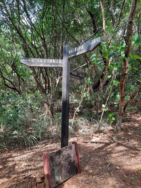 《台中》大肚環保公園登山步道、望高寮賞景1055273