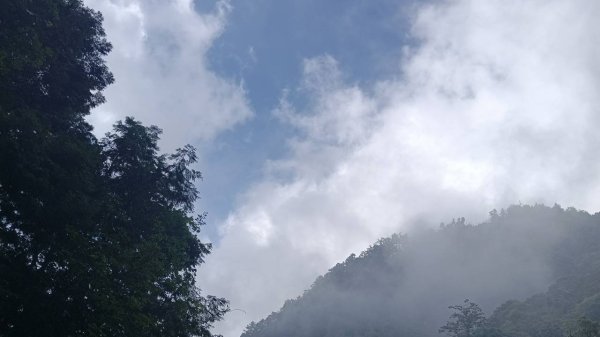 20251010 大雪山國家森林遊樂區 - 船型山林道 登 烏石坑山2911146