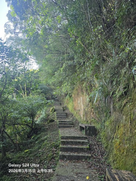 2026-03-15微笑山線：【二格山系】皇帝殿稜線段3016096