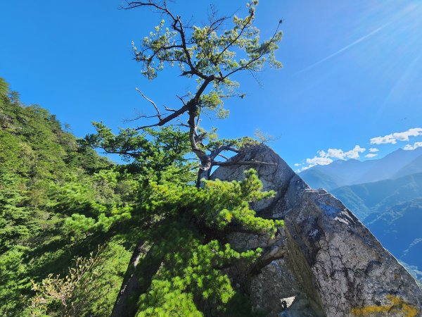 20241013東南稜上東卯山2670986