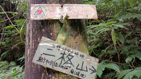 文山區草湳大榕樹-貓空圓山東北峰-貓空圓山-次格中繼站-貓空尖-二格山步道-草湳大榕樹3130186