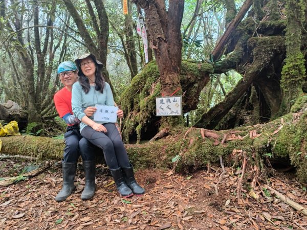 1130511夫拉縱走2500178