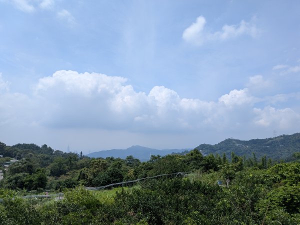 2025-06-08 臺北大縱走第六、七段2814241