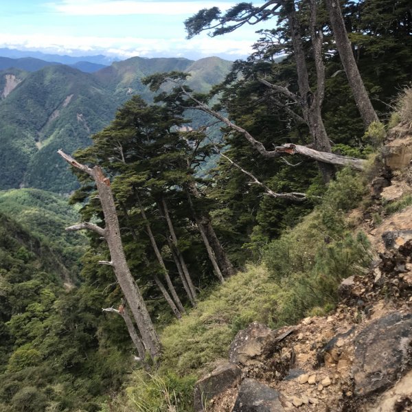 塔塔加五連峰順走玉山登山口968691