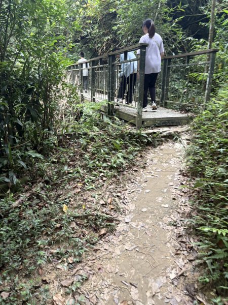 20251024蘭潭後山步道、紅毛埤山、山子頂山2924057