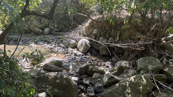 2025/10/15 台北大縱走第7段2916489