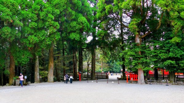 鹿兒島霧島神宮,神水峽3028256