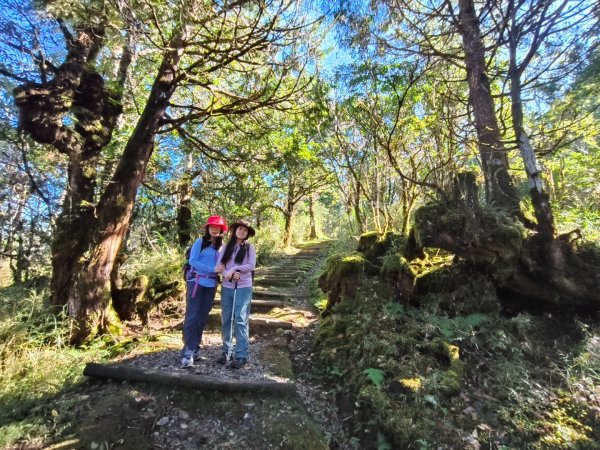 翠峰湖望洋山步道2940135