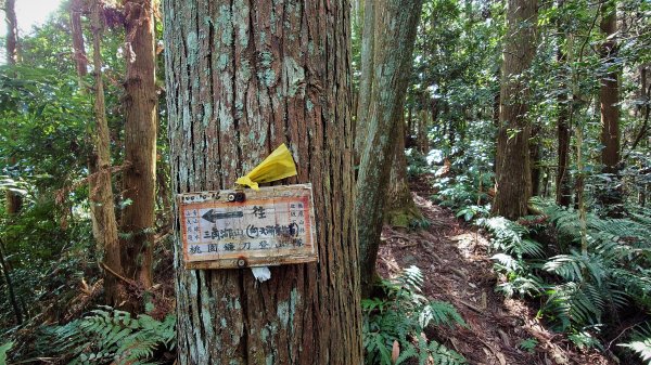 森森深呼吸的向天湖山三角湖山光天高山O型2083456