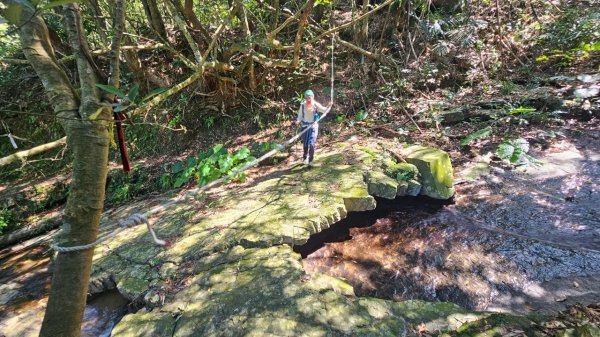 20250322遠望坑古道-龜媽坑古道中線-虎子山古道2743256