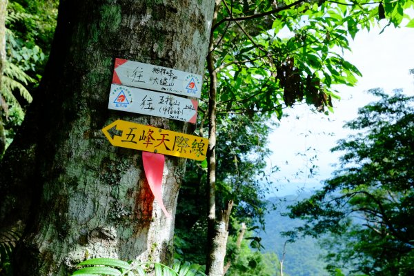 五峰天際線 10-2 五指山1010302