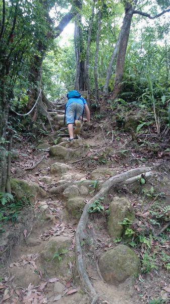 20180520望古瀑布、嶺腳寮山步道370237