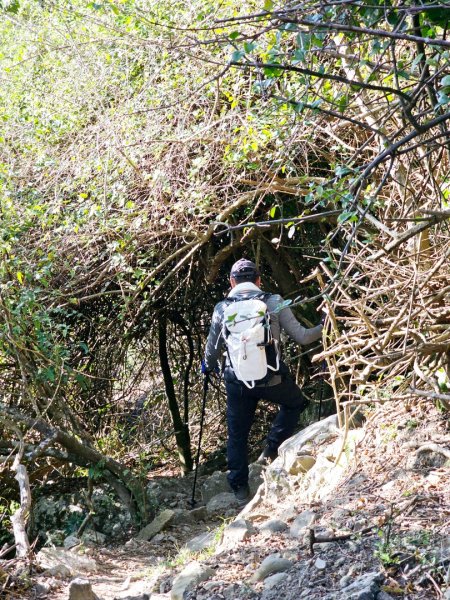 大山母山-小百岳#81-屏東縣恆春鎮2731511