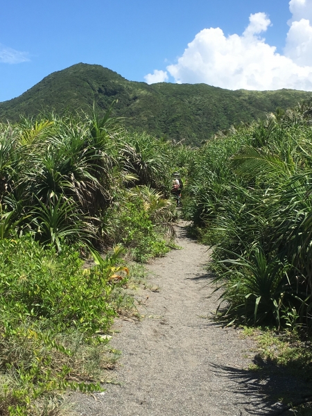 令人流連忘返的沿太平洋海岸古道-阿塱壹56874