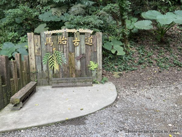 【新竹縣】親民又原始的馬胎古道＋南坪古道2991156