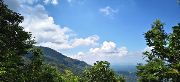 2025/08/30_華山山豬湖步道2876436