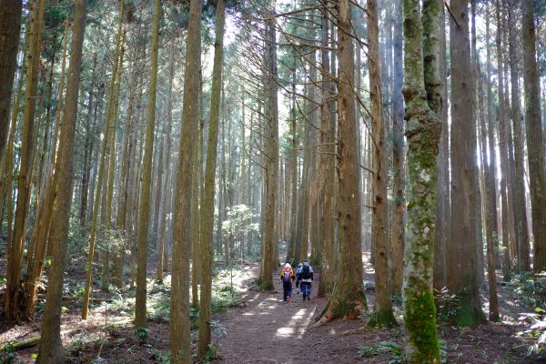 新竹尖石鄉 高島縦走1280673