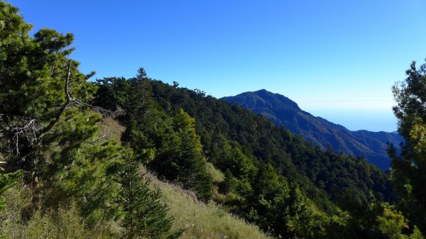 大好天氣的奇萊東稜489035