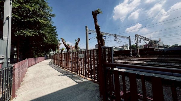 🌈10/5（日）熊熊趴爬走九歲~🥰✨FB：熊熊趴爬走 🌈2906023