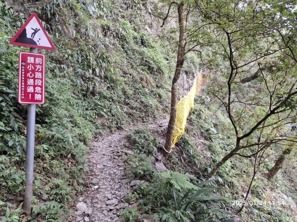 2025.01.24~26 北大武山 三天兩夜〈雲海、夕陽、檜木、鐵杉、藍天...〉2700325