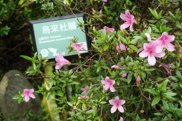 臺北植物園．孫運璿紀念館1300805