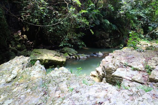 【南投。魚池】山林秘境之美景包場。澀水水上瀑布1428439